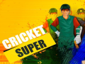 Laro Super Kriket online