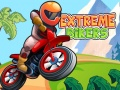 Laro Extreme Bikers online