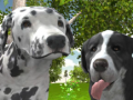 Laro Simulator ng Aso 3D online