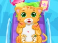 Laro Mali Pusa Doktor online