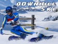 Laro Ski pababa online