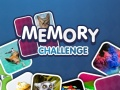 Laro Hamon ng Memorya online