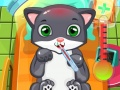 Laro Doktor Pusa online