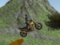Laro Miyembro ng Motor Bike online