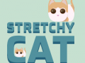 Laro Stretchy Pusa online