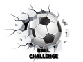 Laro Hamon ng Bola online