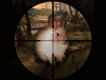 Laro Klasikal na Paghuhuli ng Pusa ng Sniper 2019 online