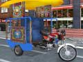 Laro Public Tricycle online