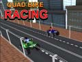 Laro Karera ng Quad Bike online