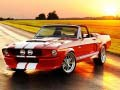 Laro Pagkakaiba ng Fancy Mustang online