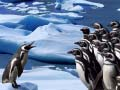 Laro Slide ng mga Penguin online