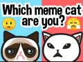 Laro Aling meme pusa ka? online