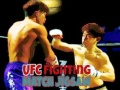 Laro UFC Labanan Pagsasama-hugis online