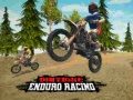 Laro Karera ng Enduro Bike online