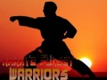 Laro Karate Mandirigma ng Takipsilim online