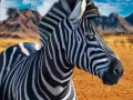 Laro Tagapagbala ng zebra online
