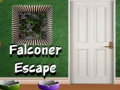Laro Pagtakas ng Falconer online
