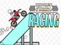 Laro Pocket Racing online