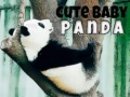 Laro Cute Baby Panda online