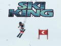 Laro Hari ng Ski online