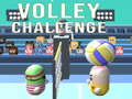 Laro Hamon ng Volleyball online