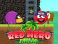 Laro Ninja Bayani Pula online