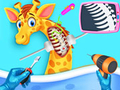 Laro Aking Pet Vet Hospital online
