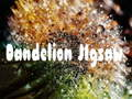 Laro Dandelion Jigsaw online