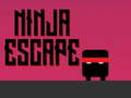 Laro Ninja Tumakas online