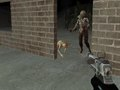 Laro Survivor ng Zombie Apocalypse Ngayon online
