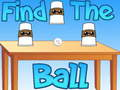 Laro Hanapin ang bola online