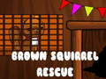 Laro Pagl救 ng Brown Squirrel online
