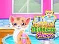 Laro Pagsagip ng Munting Prinsesang Pusa online