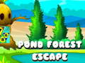 Laro Takbo mula sa Pond Forest online