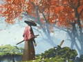 Laro Repleksyon ng Samurai online