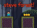 Laro Gubat ni Steve online