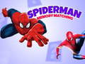 Laro Laro ng Memorya ni Spiderman online