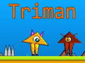 Laro Triman online