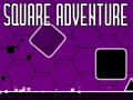 Laro Square Adventure online