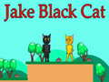 Laro Jake Itim na Pusa online