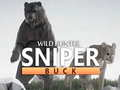 Laro Wild Hunter Sniper Usang online