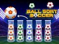 Laro Pag-uuri ng Bola ng Soccer online