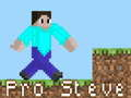 Laro Pro Steve online