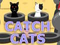 Laro Huliin ang mga Pusa online