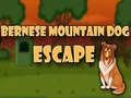 Laro Takas ng Bernese Mountain Dog online