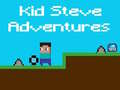 Laro Mga Pakikipagsapalaran ni Kid Steve online