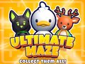 Laro Ultimate Maze! Kolektahin ang Lahat! online