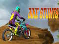 Laro Bicycle Stunts online