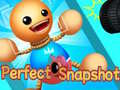 Laro Perpektong Snapshot online