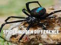 Laro Spider: Hanapin ang pagkakaiba online